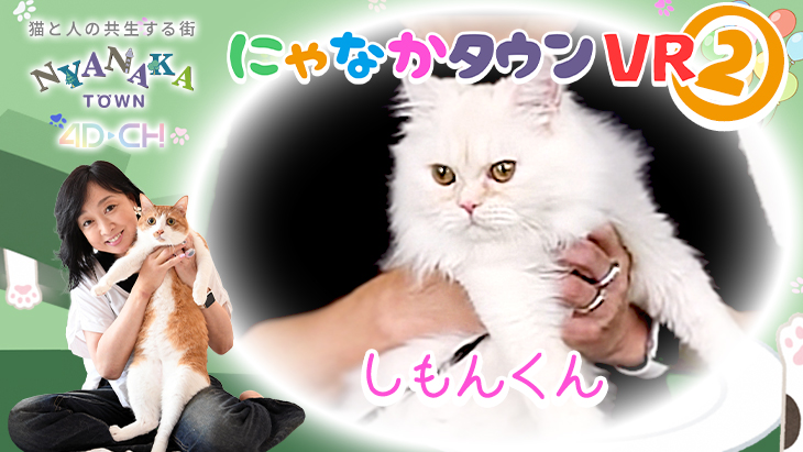 4DCHANNEL's tweet photo. 🐱4D-CH×にゃなかタウン コラボVR第2弾✨
かもんくん編
🔗https://t.co/N7qxaYw6iB
らもんくん編
🔗https://t.co/3yNrkEyFdi
しもんくん編
🔗https://t.co/LgRszTdgIz
あもんくん編
🔗https://t.co/pTQhNzOJaw
#にゃなかタウン #4DCH #猫VR #VR体験 #猫との暮らし #猫好きさんと繋がりたい https://t.co/ujcn4Yhr2R