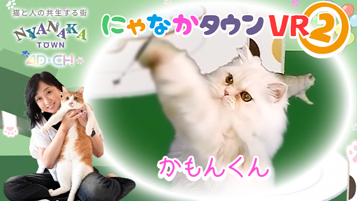 4DCHANNEL's tweet photo. 🐱4D-CH×にゃなかタウン コラボVR第2弾✨
かもんくん編
🔗https://t.co/N7qxaYw6iB
らもんくん編
🔗https://t.co/3yNrkEyFdi
しもんくん編
🔗https://t.co/LgRszTdgIz
あもんくん編
🔗https://t.co/pTQhNzOJaw
#にゃなかタウン #4DCH #猫VR #VR体験 #猫との暮らし #猫好きさんと繋がりたい https://t.co/ujcn4Yhr2R