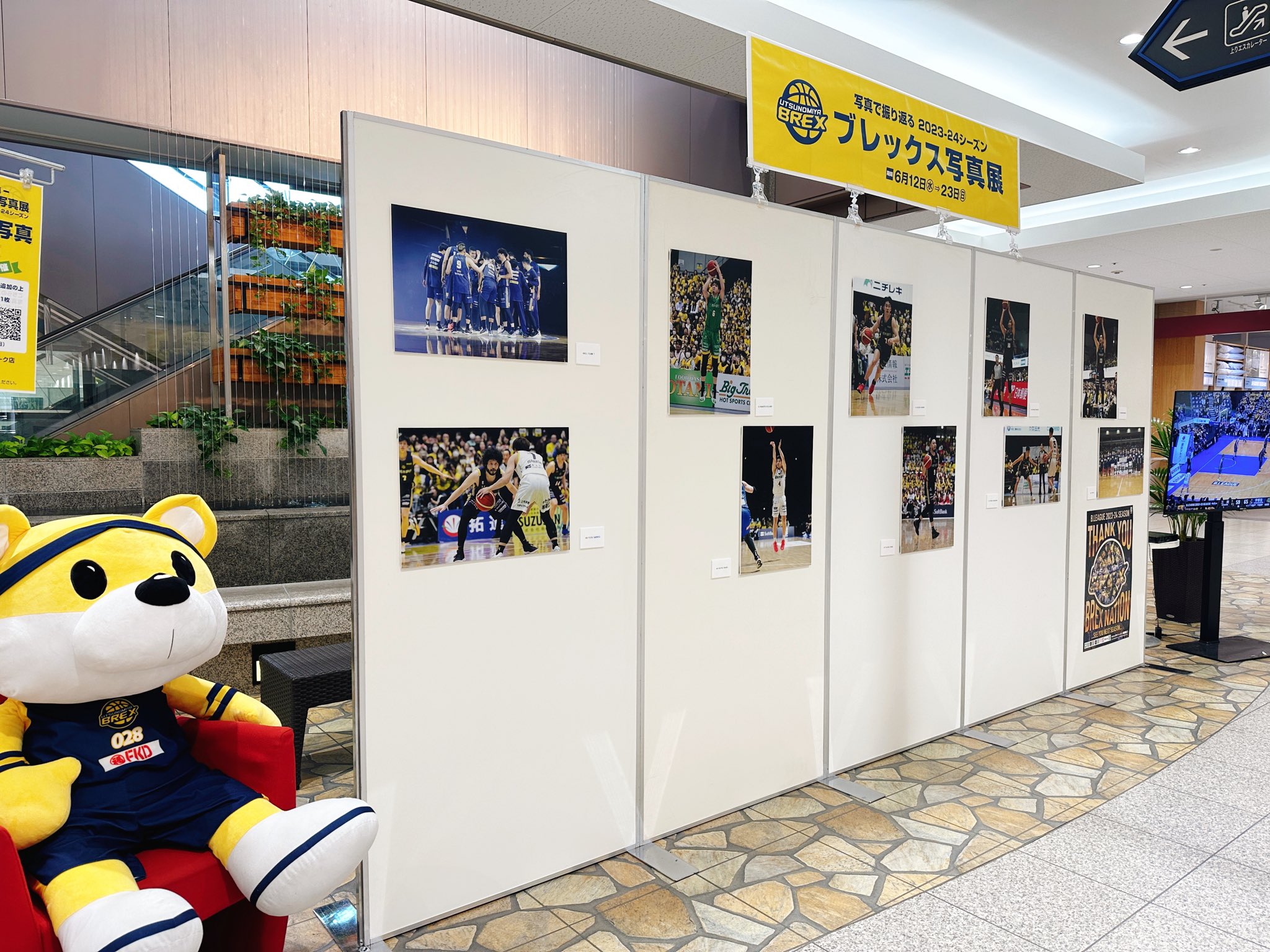 UTSUNOMIYA BREX 2023-24シーズン アルミパネル UTSUNOMIYA BREX 2023-24シーズン アルミパネル - メルカリ