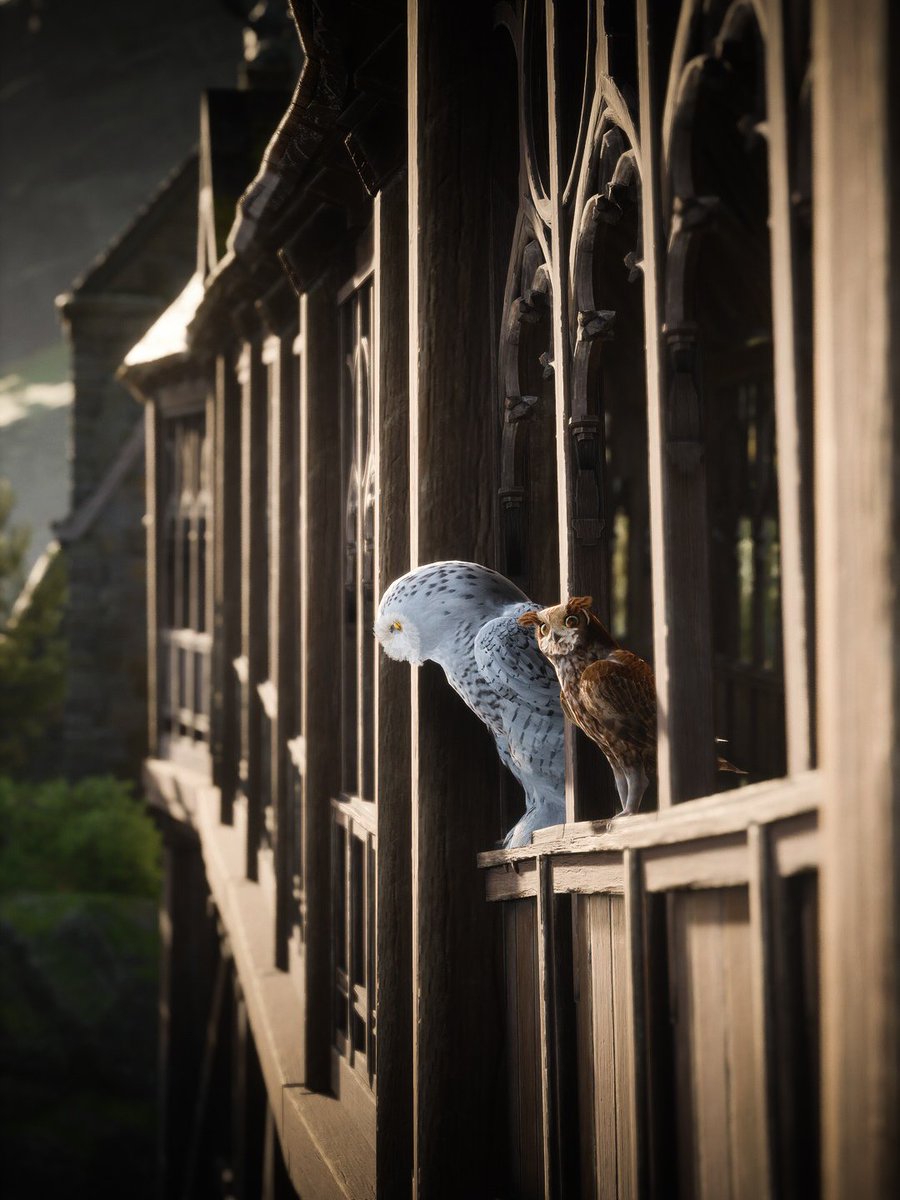 visualcam9 tweet media