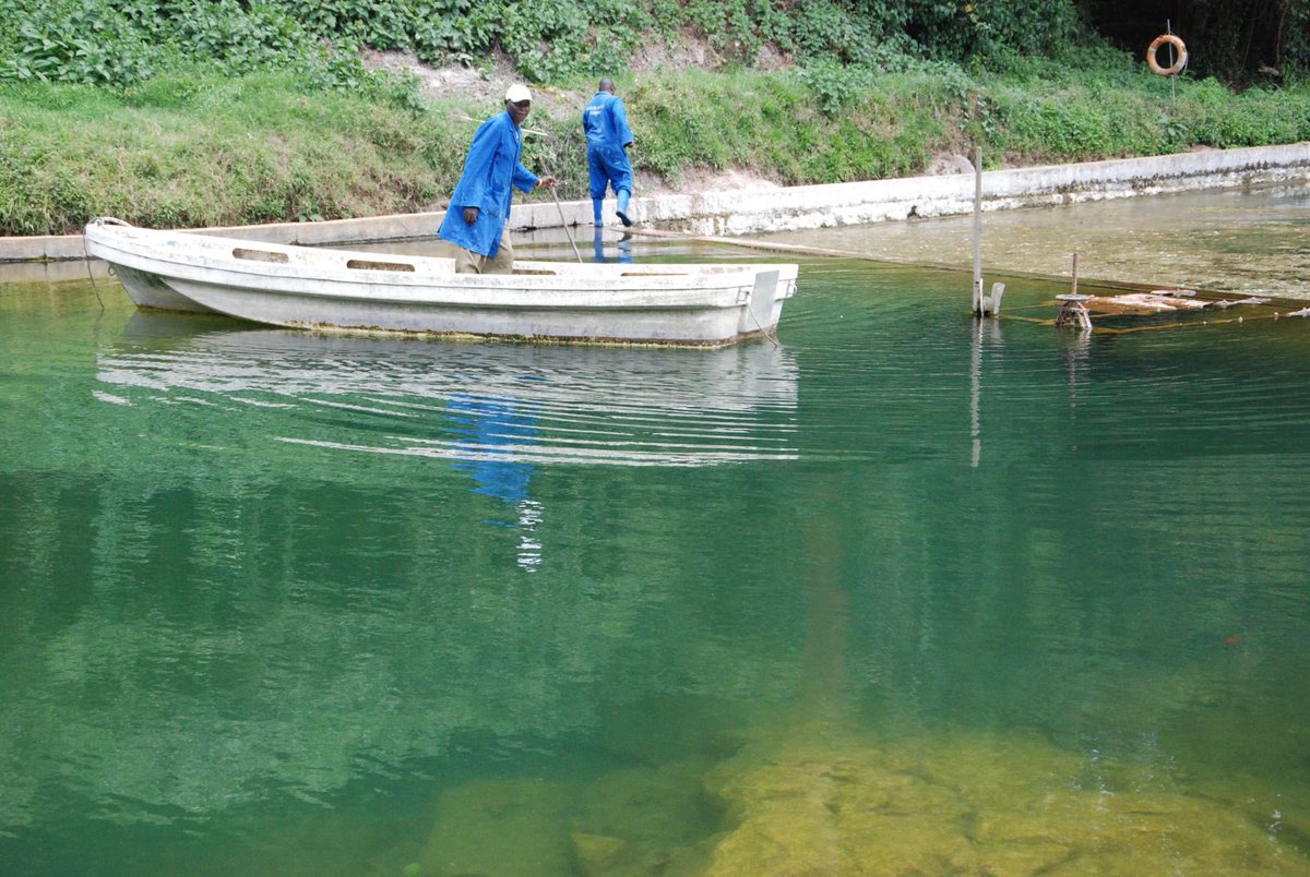 • ⁠It’s the oldest and smallest water source supplying water in Nairobi. 
• ⁠Some areas served  from this water are Karen, Dagorreti , Kawangware, Riruta , Uthiru &amp; Environs.