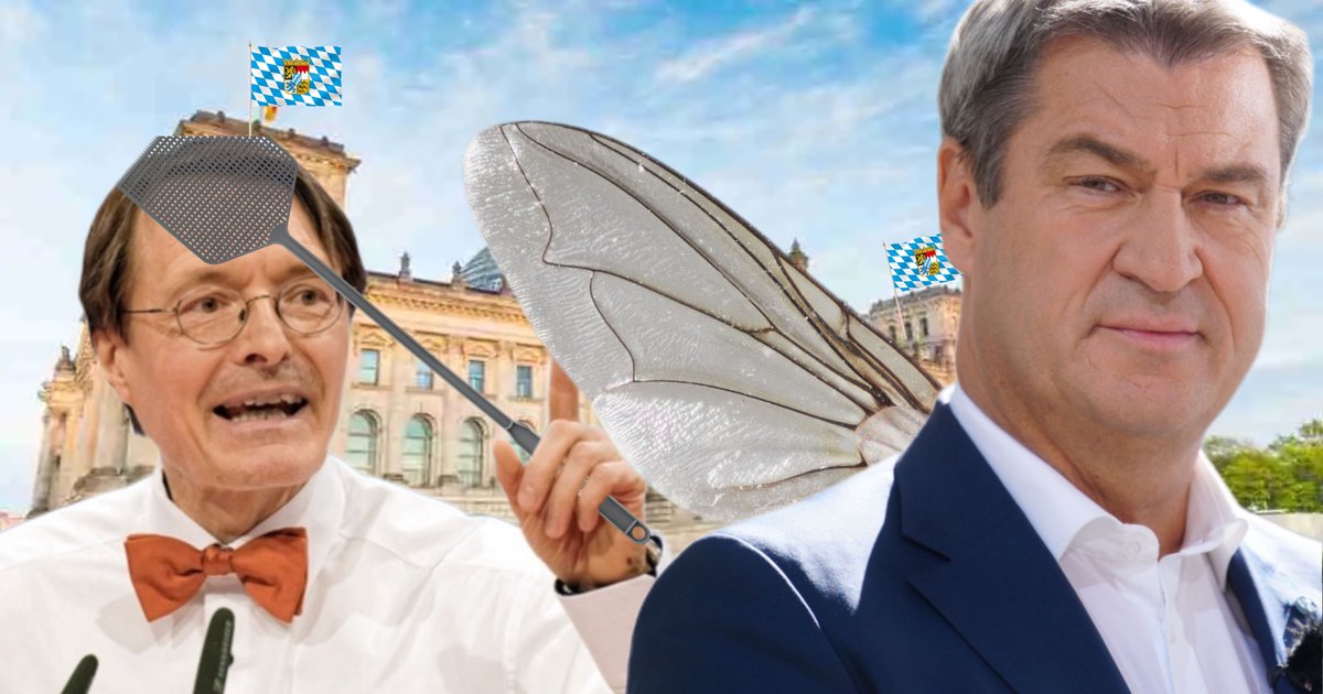 SafeyyHD's tweet photo. Bzzz 🐝 in einer meiner hundert Villas! #reichtum #rich #money #fly Irgendein Spinner will mich jedoch verjagen. #typischberlin #spinner #bayernistbesser https://t.co/rQTDgzv5vZ