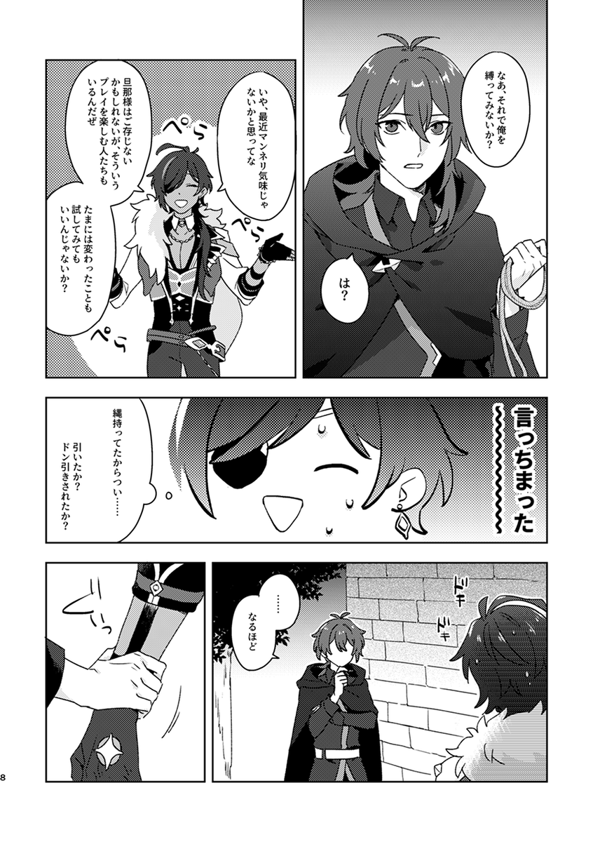 ディルガイ本サンプル(2/2) 