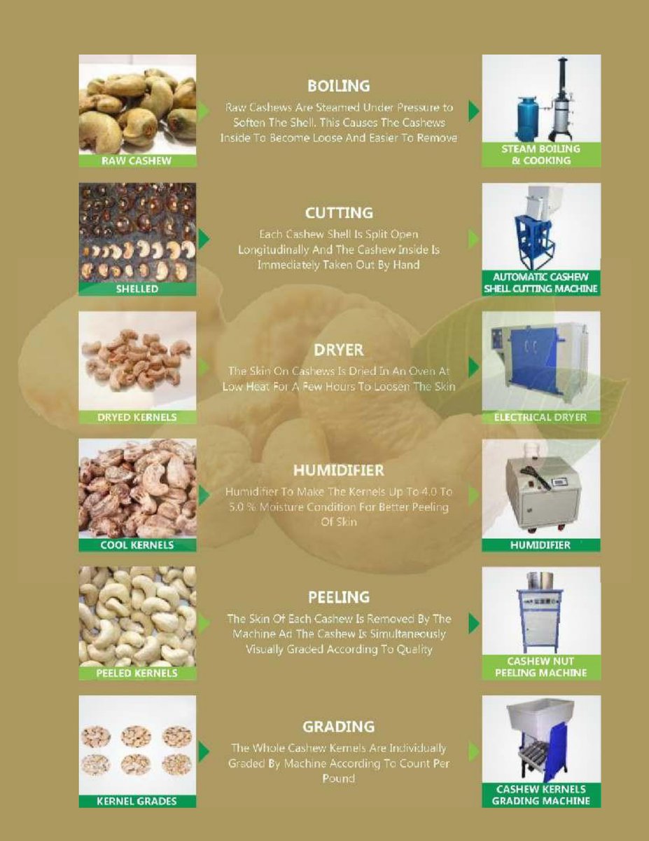 kumarv942961533's tweet image. Cashew Processing Machines!
Boiling
|
cutting
|
drayer
|
humidifier
|
peeling
|
grading

For queries,
Email:millgrain2000@gmail.com
Whatsapp:+918105566637

#millgrain #cashewprocessingmachine #cuttingmachine #dryer #gradingmachine #boiler #peelingmachine #shellingmachine
