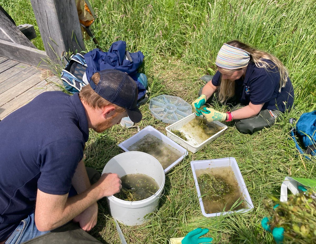 Railway Land Wildlife Trust tweet media