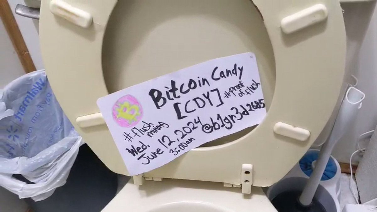 Do you remember that CDY is for the rich and poor? If you don't have an  expensive GPU card to mine it on a pool, you can do the same with your  toilet equipment! PoF - proof of flush. Read more at CDY Discord:  discord.com/invite/BADgW4T #memecoin #memecoins