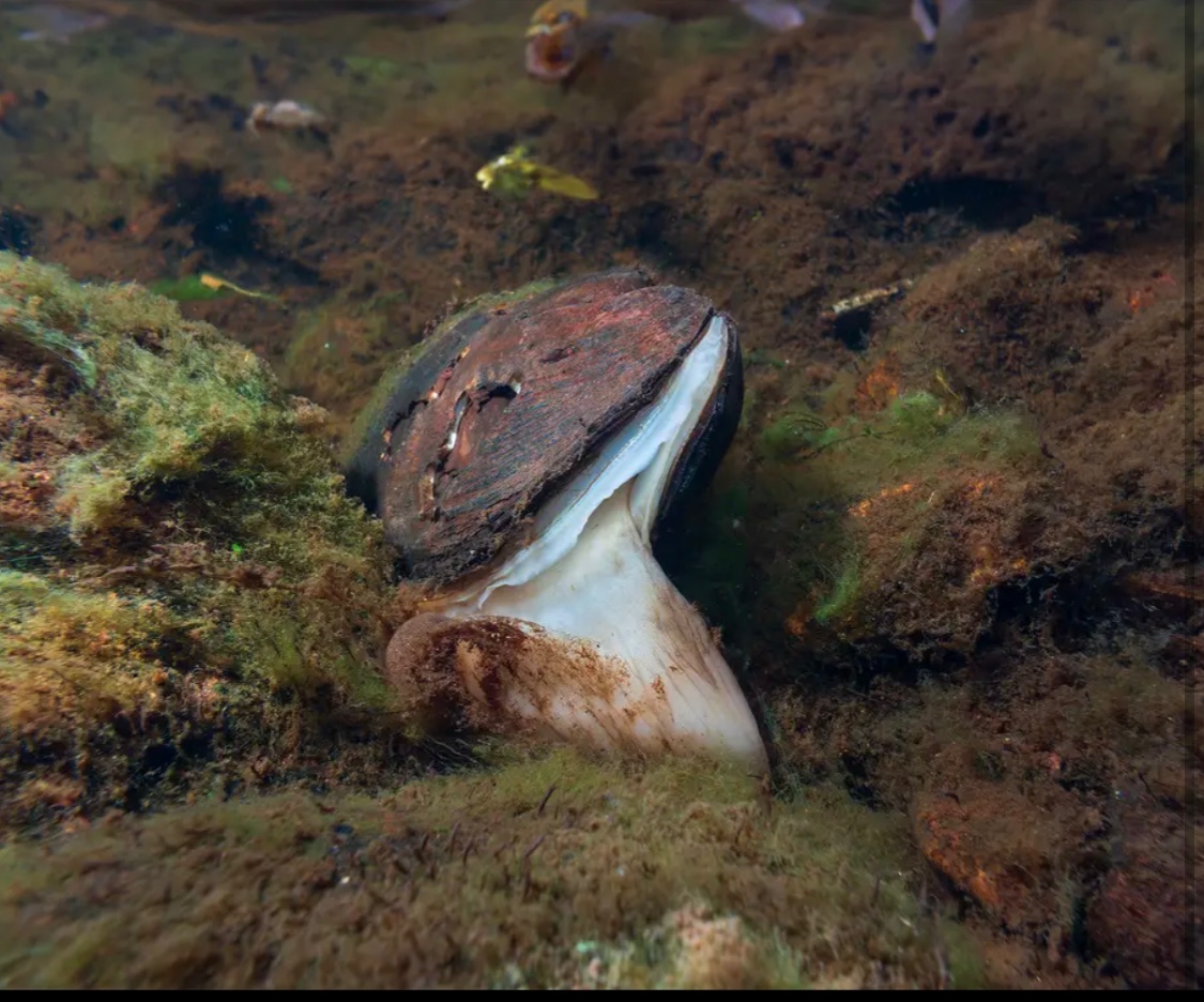 Ella McSweeney tweet media