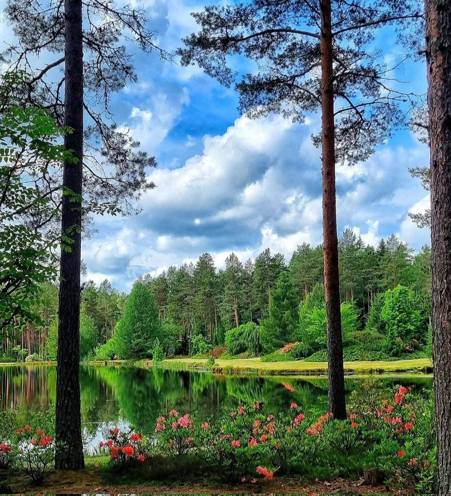 lovesgeography's tweet photo. Nature. https://t.co/Sn4X5GsVS3