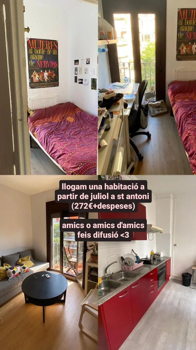holaaa⭐️⭐️na bel i jo tenim una habitació lliure a partir de juliol devora es mercat de sant antoni🐠 si podeu feis difusió <3333