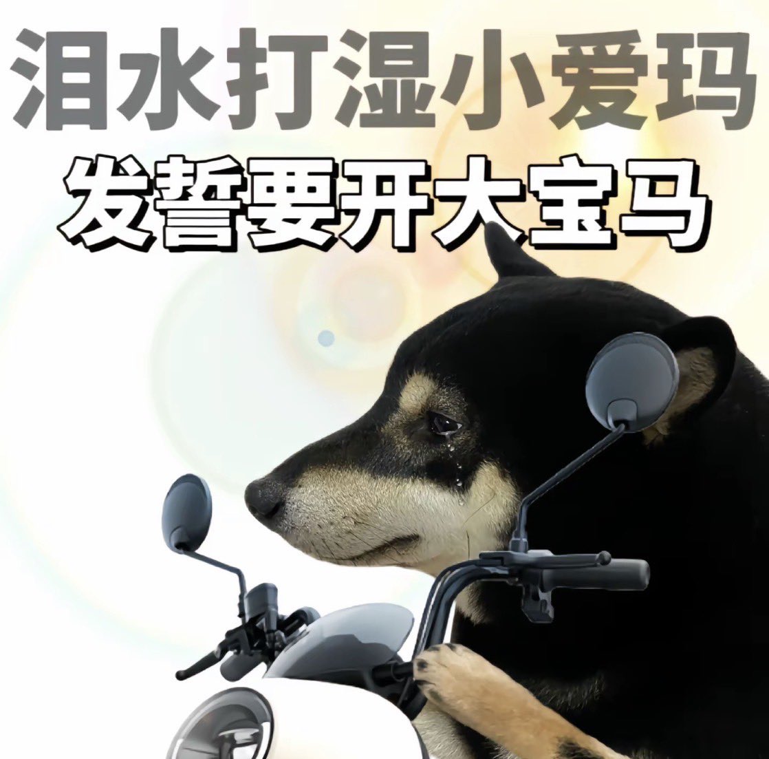 wang_eth's tweet photo. 最近好像都在陆陆续续亏
无论是大群还是小群
总体情绪不是特别好
永赚老师都不出来说话了
最近在玩一款炼油websea的
感觉还是不错  
可以先浅浅了解一下
陆陆续续亏钱的时候
往往炼油或pongzi一般都是独立行情 
稍微显现出来了那么一点
今晚不知道是多还是空
负负得正 看看多还是空？ https://t.co/1UpvySXh5b