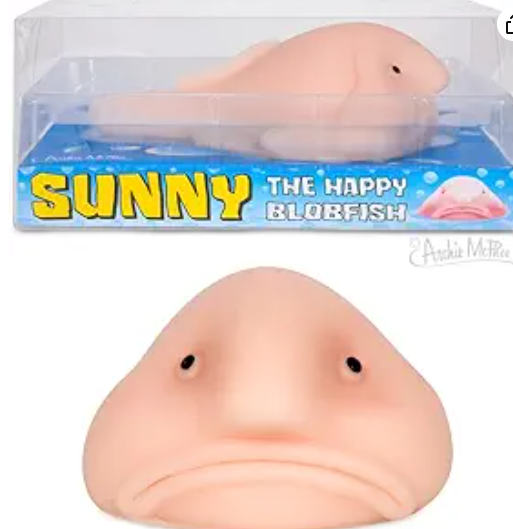 Tradinglynxx's tweet photo. Day 1/30 of trying to become better at copywriting by trying to sell something stupid

Todays Item...

Sunny The Blobfish

The definition of a mans best friend is a dog, but what if the "dog" was a small happy little blob fish?

but now we don't have to ask what if... https://t.co/UYK7Cr5BMn