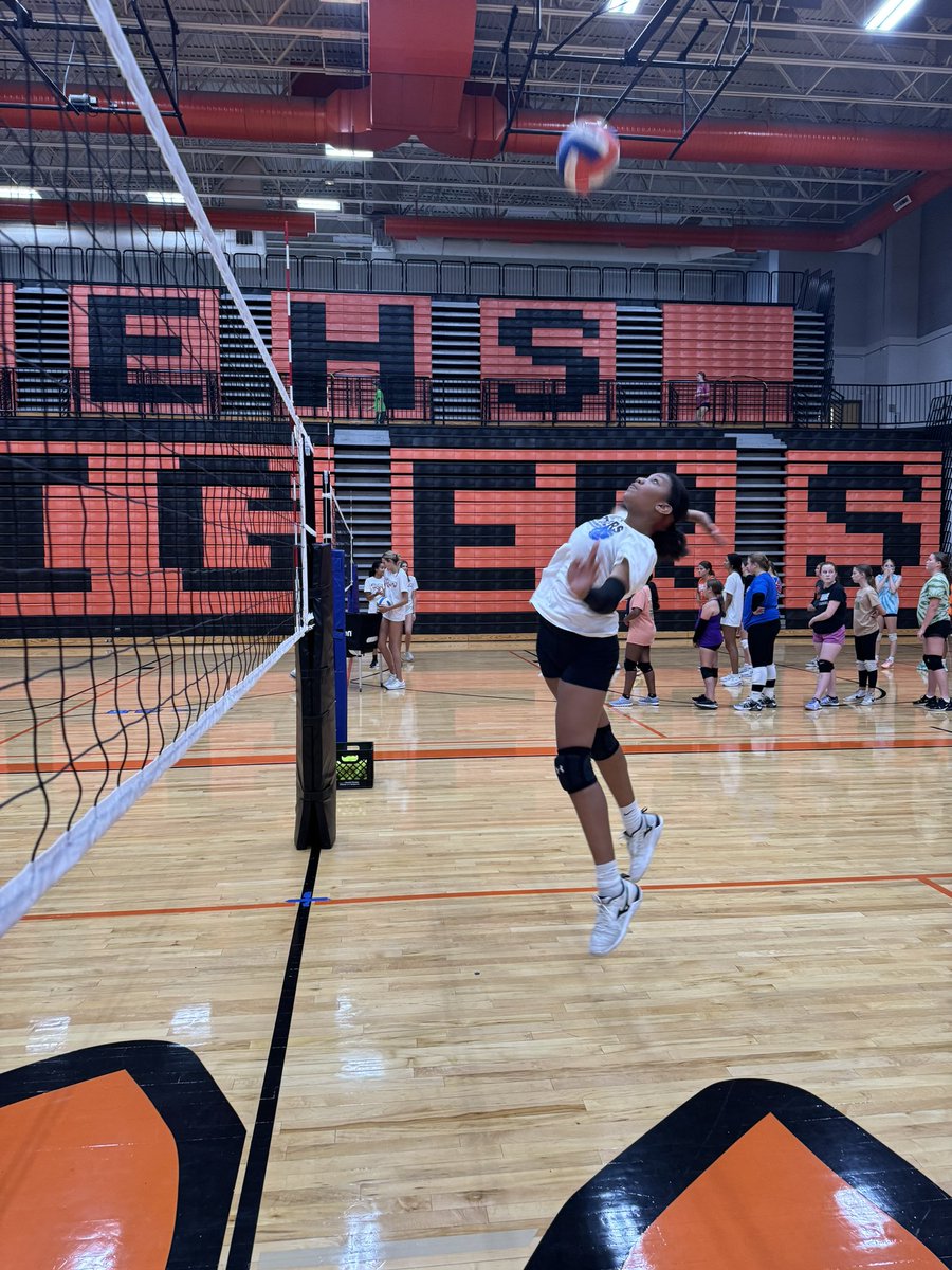 EHSGirlsVB1's tweet photo. Day 1️⃣ and Day 2️⃣ of EHS Tiger 🏐 Camp have been a great success!  See more pictures on Instagram - @ehsgirlsvb1 https://t.co/CL249OwL5j