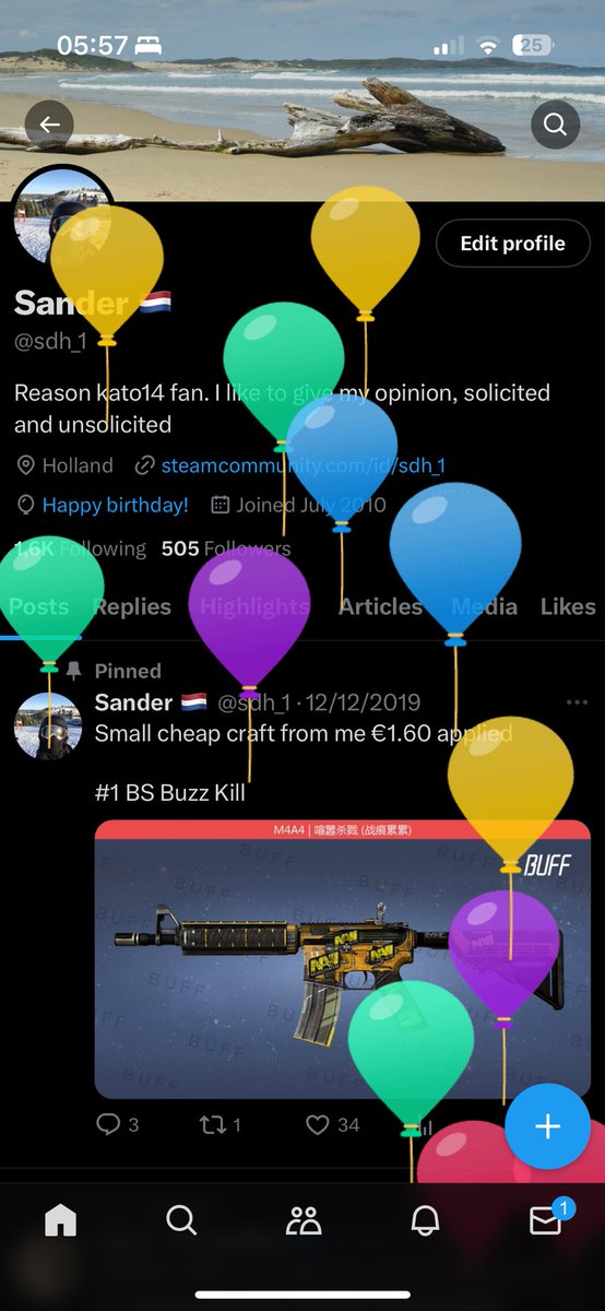 Sander 🇳🇱 tweet media