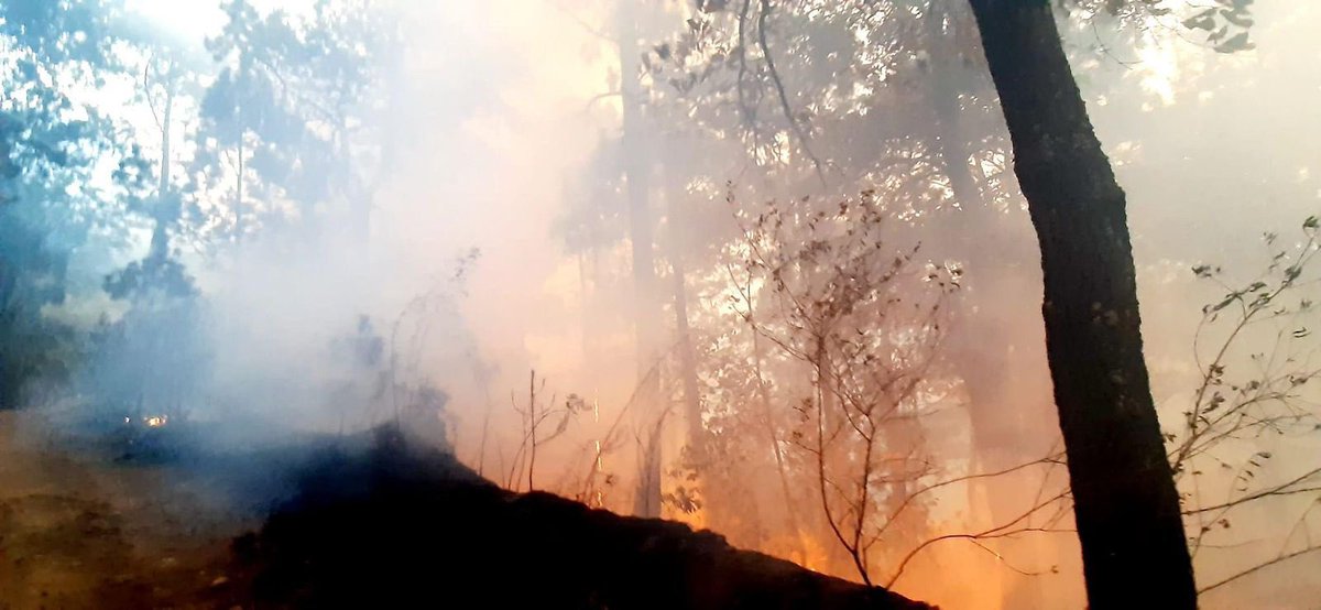 🆘 <a href="/EnriqueAlfaroR/">Enrique Alfaro</a> <a href="/PCJalisco/">Protección Civil JAL</a> <a href="/PabloLemusN/">Pablo Lemus Navarro</a> 

El incendio en la Sierra del Tigre esta consumiendo el  bosque en el Cerro Pelón, afectando los municipios de La Manzanilla de La Paz  y Mazamitla. La situación es crítica y los recursos para los brigadistas ya no son suficientes.