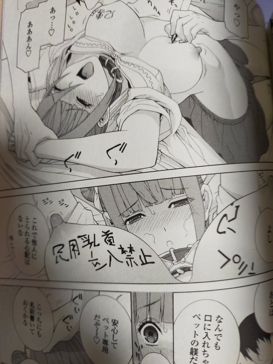 収録されてる「義妹愛玩365日」
首輪をして甘えて来る義妹を描いたらコンビニ誌にもかかわらず高評で調子に乗って身体にイタズラ描きする続編描いたら不評だった…
コンビニ売りの雑誌にはまだ未練もあるけど描くとなったらネタのチョイスが難しそう…ライトなの描くのも大変 