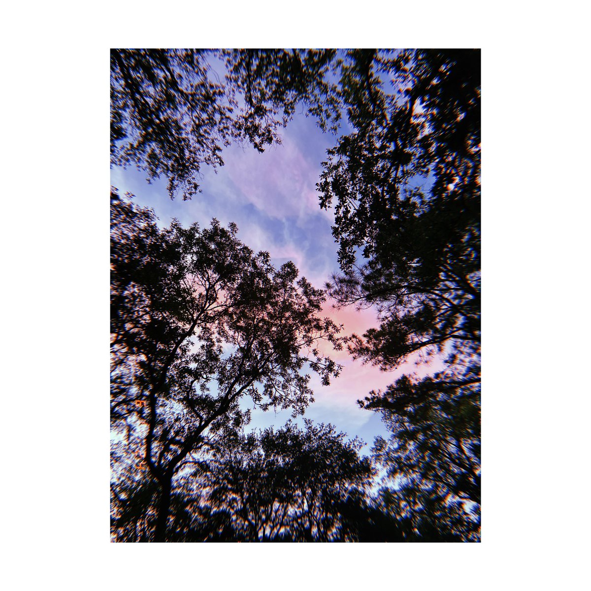 NileBoheme's tweet photo. Transparency post: Not much I can say without getting too emotional rn. I’ve been feeling uneasy; disconnected &amp; distracted from what I align with. I’m learning, growing, healing…I’m doing my best. Sooo grateful to have gotten here. Thank you for being part of this journey ✨ https://t.co/EH0QNsYZaN