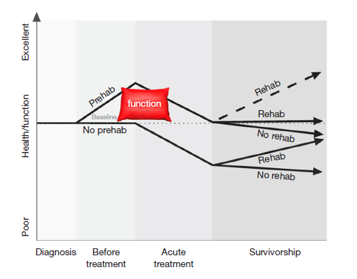 Great visual perspective of #Prehab for #Cancer Rehab. Prehab is like building the functional "cushion" to soften the harmful effects of #treatment
#cancerrehabilitation #physicaltherapy #physicaltherapist #exerciseoncology #exercisephysiologist #oncology

pubmed.ncbi.nlm.nih.gov/37993401/