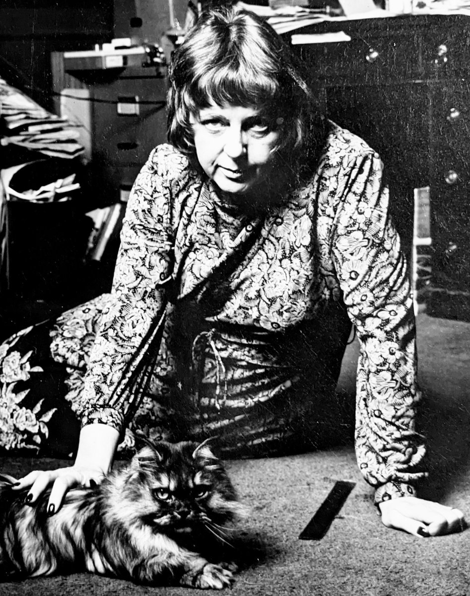 Kate Levey tweet media