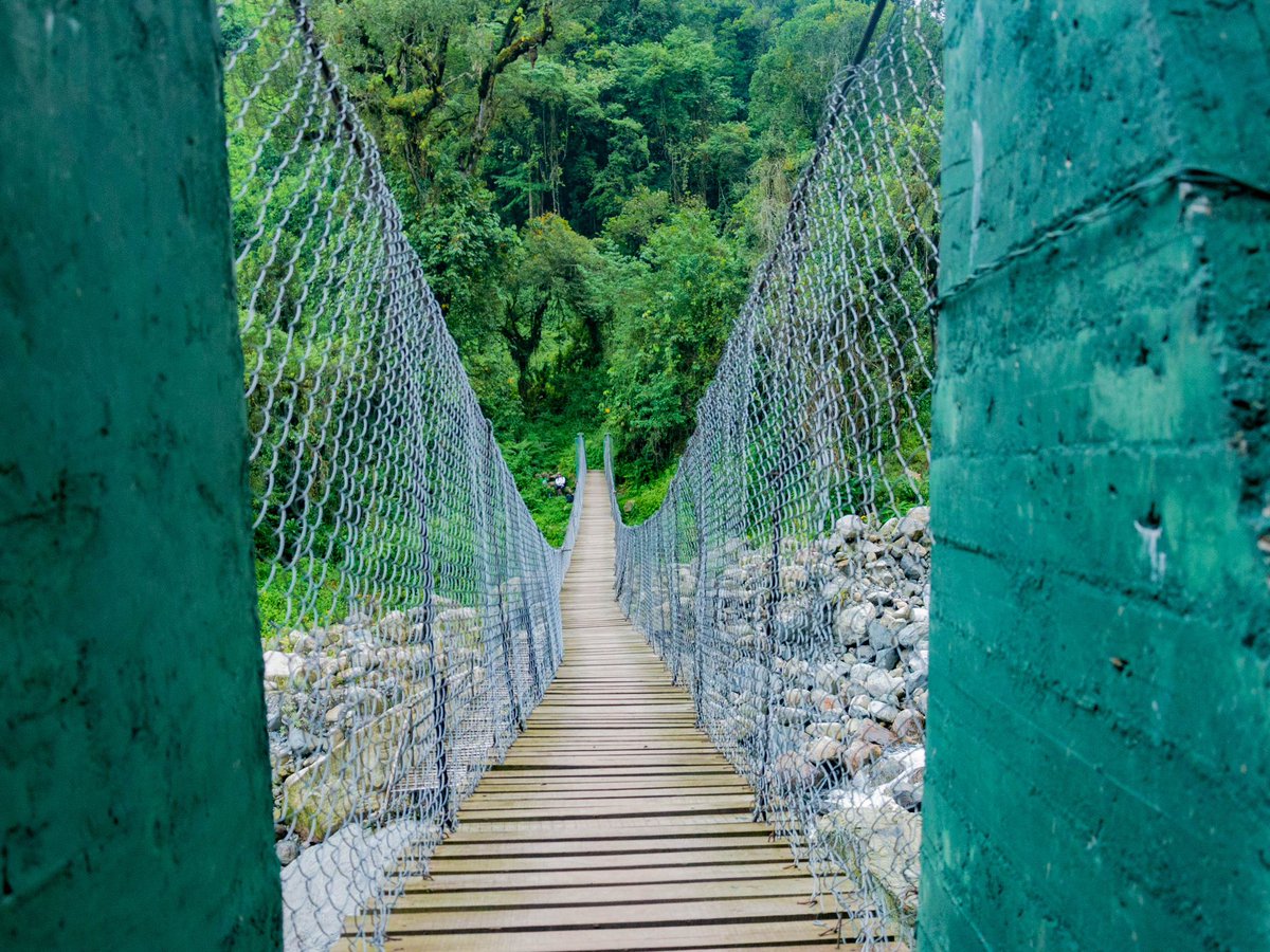 GiraffeSights's tweet photo. Have you visited Rwenzori Mountains National Park before?! 

Giraffe Sights Africa takes you there to witness the majestic melting glaciers. 

For inquiries, email us at info@giraffesightsafrica.com

Visit our website at https://t.co/opx1tqHbZ5

📸Credit: @ZumaMukalazi https://t.co/1xxM00K6w6