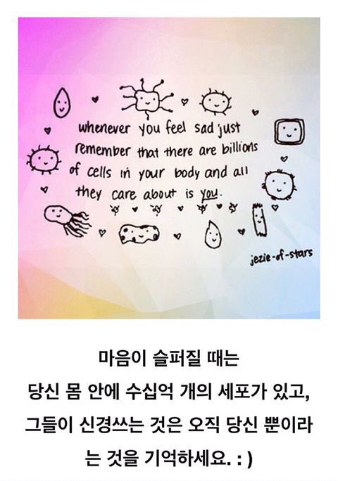limp_22's tweet photo. 인사이드아웃2 후기
대단히 예상을 뛰어넘기 보다는 적절히 해야할 이야기들을 맞춰나간
잔잔한 감동의 속편
누구나 성장하며 겪을만한 일 받고싶은 위로를 담아내서 좋았다
청소년에게는 다가올 불안에 대처할 따뜻한 조언이 될것이고
어른에게는 지나온 나의 사춘기를 떠올리며 다시금 힘을 줄 영화 https://t.co/xwiMJ9IrIo