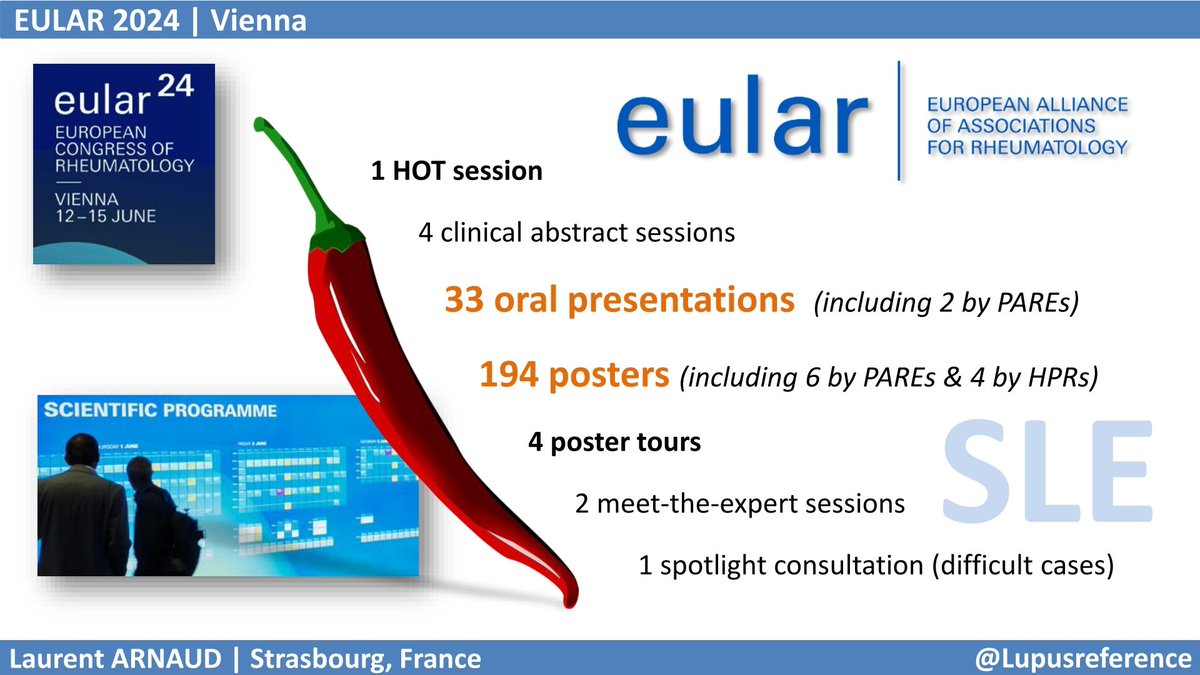 Laurent ARNAUD (@lupusreference) on Twitter photo ✅ TODAY is the official start of #EULAR2024 ✨ with the convergence of 12k+ #Rheumatology specialists & researchers from ALL over the world. The full program of this <a href="/eular_org/">EULAR</a> event is truly AMAZING, and for #Lupus there will be 33 oral presentations and almost 200 posters 👍 ✅ TODAY is the official start of #EULAR2024 ✨ with the convergence of 12k+ #Rheumatology specialists & researchers from ALL over the world. The full program of this <a href="/eular_org/">EULAR</a> event is truly AMAZING, and for #Lupus there will be 33 oral presentations and almost 200 posters 👍