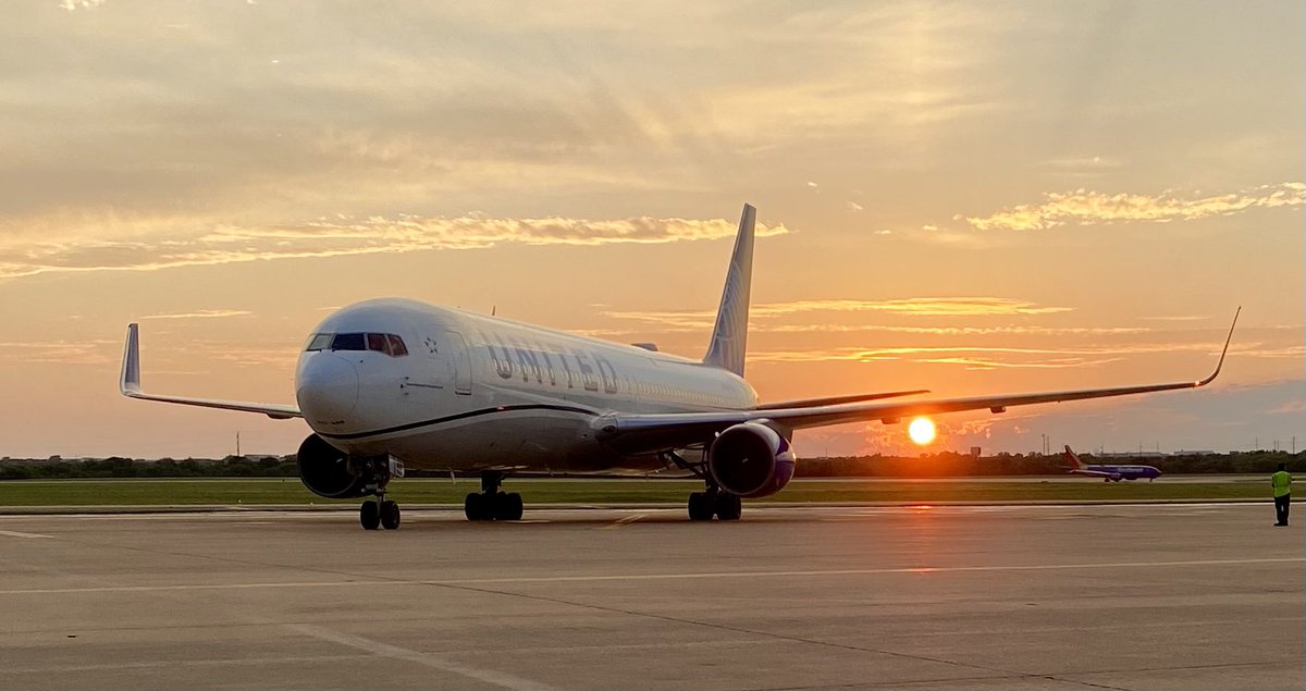 Sarah Piper tweet media