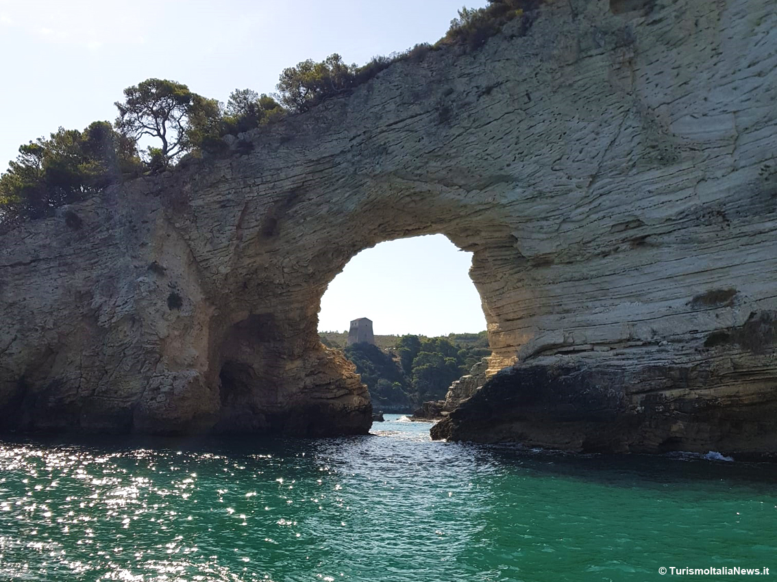 TurismoItaliaNw's tweet photo. PUGLIA | Vacanze sul Gargano: cosa visitare a Vieste? Da Pizzomunno alla Foresta Umbra i luoghi imperdibili
Leggi la notizia https://t.co/o2qx8vxcqg
#gargano #garganoexperience #viestegargano #vieste #Estate2024 #vacanze2024 #adonde #turismo #weareinpuglia @WeAreInPuglia https://t.co/aglSD0exFS