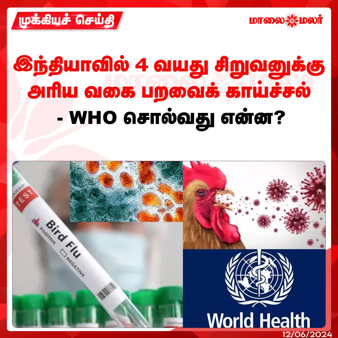maalaimalar's tweet photo. மேலும் படிக்க : https://t.co/SqJYNToCsP
#india #rarestrain #birdflu #Tamilnews #MMNews #Maalaimalar https://t.co/uEr3ror3l8