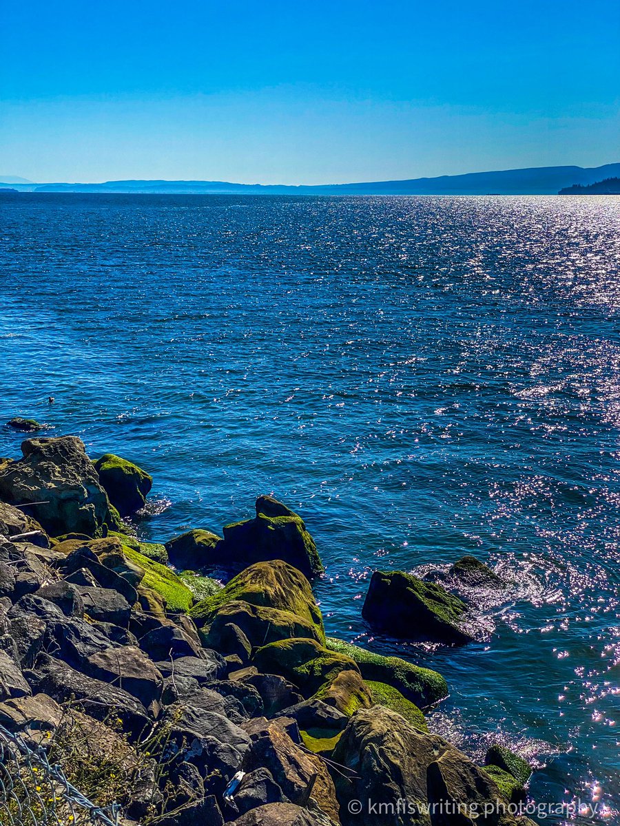 The Columbia River Bar is known as the Graveyard of the Pacific - considered one of the most dangerous river bars to cross in the world due to unpredictable changes in water conditions.

Learn more: kmfiswriting.com/perfect-five-d…

#pacificnorthwest #roadtrip #pnw #roadtrip