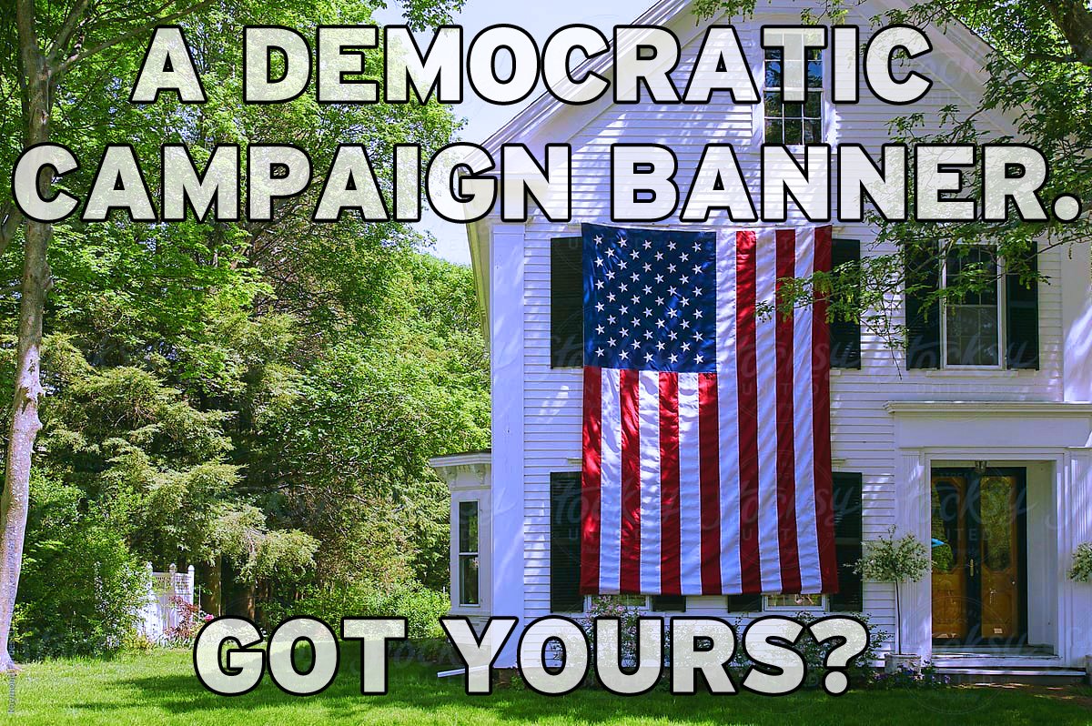 TheHausWorking's tweet photo. #VoteBlue
#NoCults
#USFlagCode https://t.co/lWAqbCB7FI