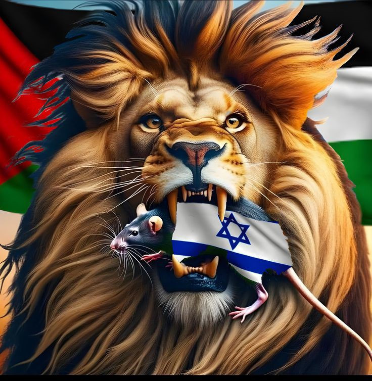Very soon in sha ALLAH isreal is finish