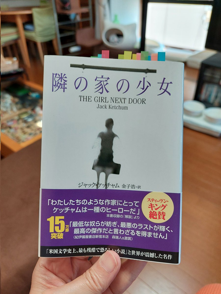ジャック・ケッチャム『隣の家の少女』を読み終わる。41歳の成功した