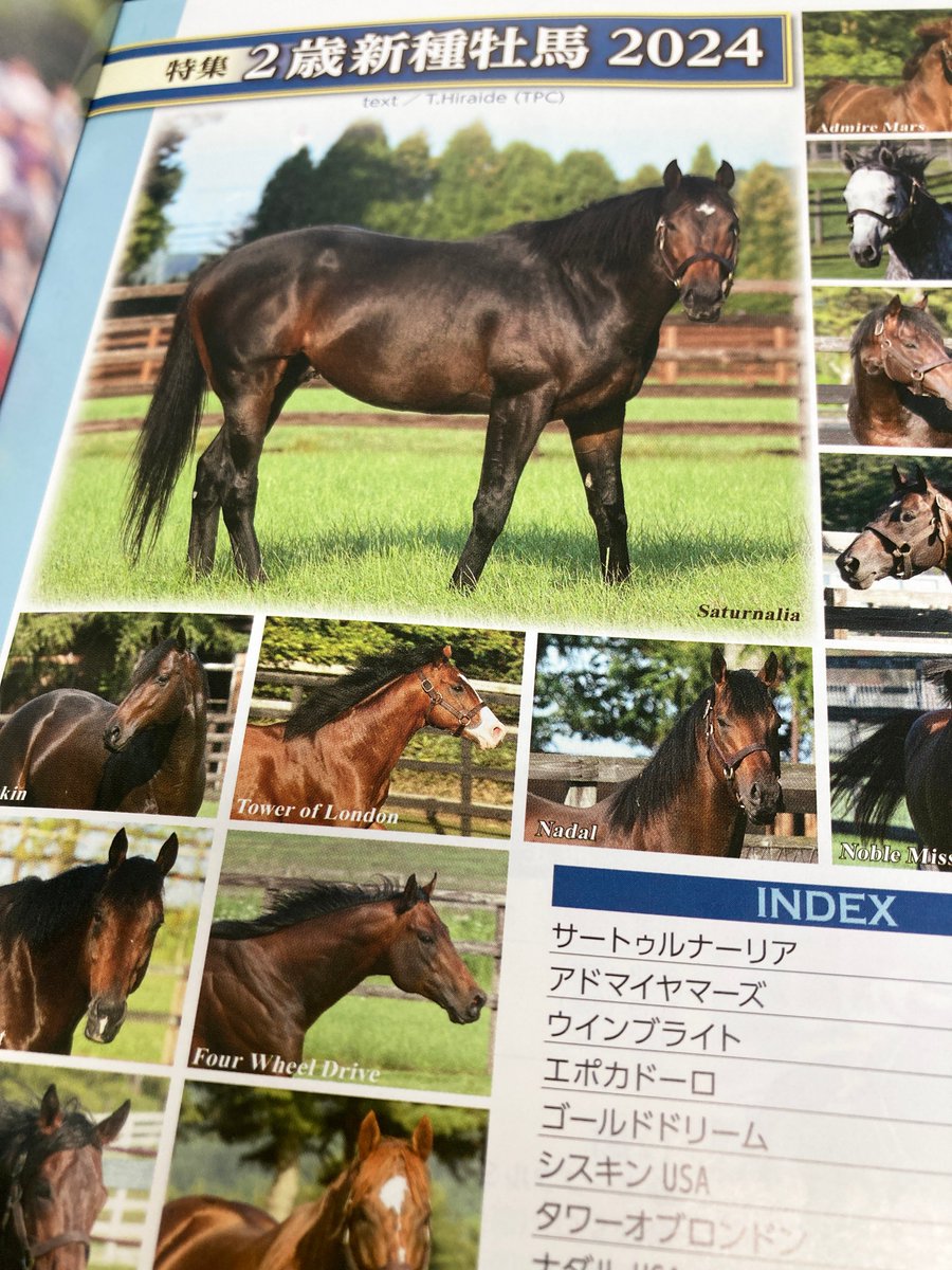 Thoroughbred_PC's tweet photo. 競馬四季報2024年夏号が発売されました！特集は｢２新種牡馬｣、好評企画POG7にもお役立てください。オンラインショップは送料無料でお届けいたします。2000円もお得な定期購読も是非どうぞ！
【夏号好評発売中】https://t.co/7UbM0yQxQF
【定期購読受付中】https://t.co/r4kXuClMwv
#競馬四季報
#POG7 https://t.co/eX0wGA3Dkv