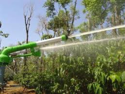 Rubanga Cooperatives has successfully doubled coffee production per tree by implementing innovative irrigation solutions with support from the USA's partnership (through USAID) with Water and Pumps International Limited. This initiative has helped increased farmer incomes in the