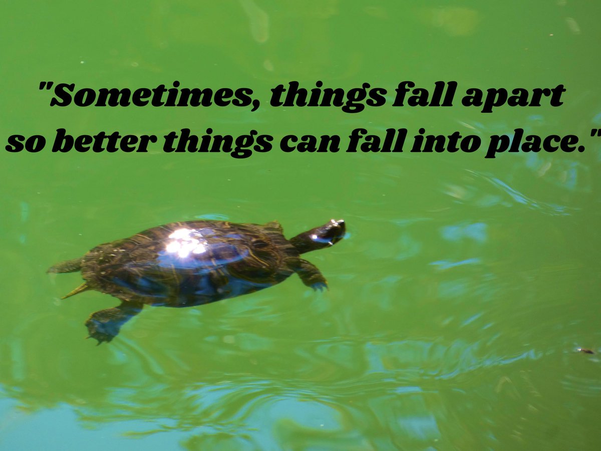 ResiMindset's tweet photo. #FindingTheGood #PositiveOutcome #EmbraceChange https://t.co/I0mQgoVb3L