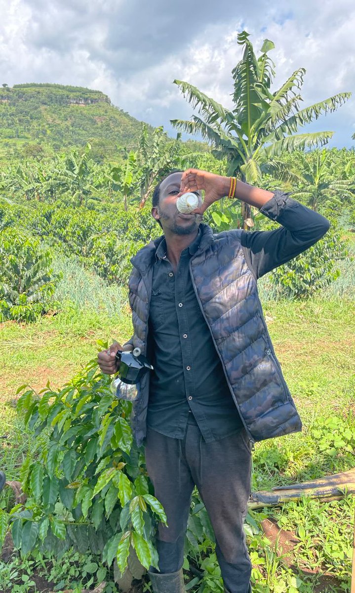 salimo_paul's tweet photo. Early morning espresso shot to jumpstart a great day.
#farm2cup https://t.co/MHpR0JlWyQ