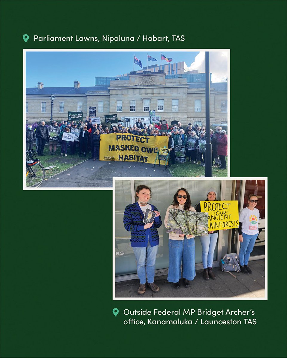 BobBrownFndn's tweet photo. We’ve kicked off our National Day of Action for Takayna — with people around the country turning out to snap actions, and delivering a letter of protest to their MPs. It’s not too late to join — https://t.co/4emoUonZuQ
#defendtakayna #endnativeforestlogging https://t.co/veINkC6OFM