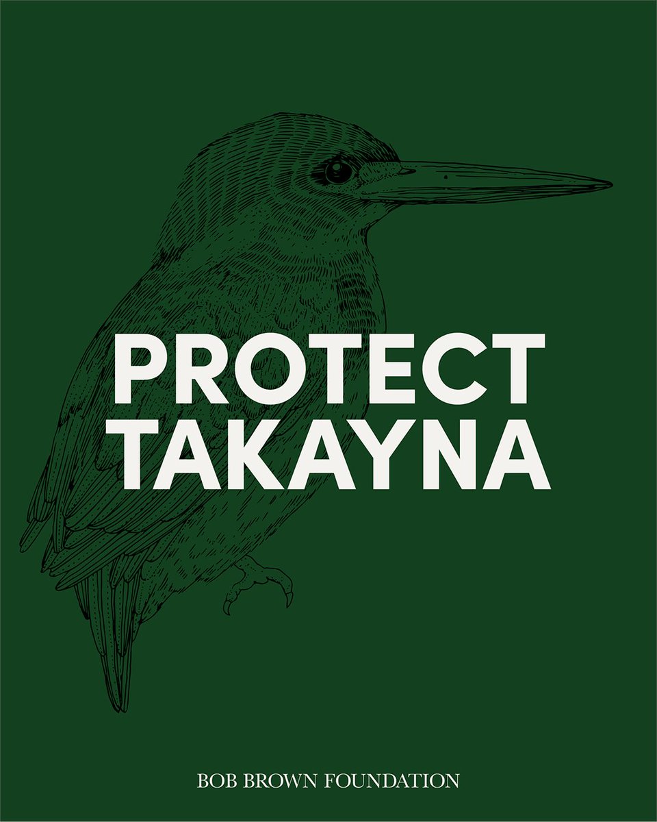 BobBrownFndn's tweet photo. We’ve kicked off our National Day of Action for Takayna — with people around the country turning out to snap actions, and delivering a letter of protest to their MPs. It’s not too late to join — https://t.co/4emoUonZuQ
#defendtakayna #endnativeforestlogging https://t.co/veINkC6OFM