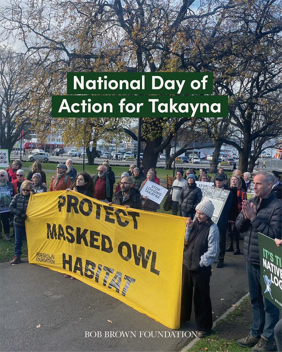 BobBrownFndn's tweet photo. We’ve kicked off our National Day of Action for Takayna — with people around the country turning out to snap actions, and delivering a letter of protest to their MPs. It’s not too late to join — https://t.co/4emoUonZuQ
#defendtakayna #endnativeforestlogging https://t.co/veINkC6OFM
