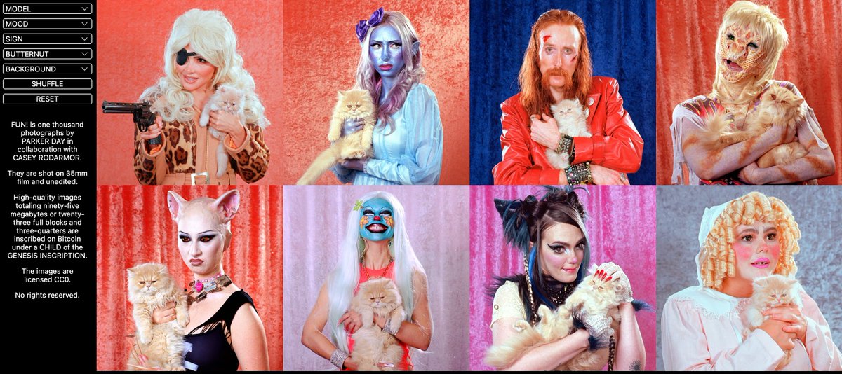 BUTTERNUT tweet media