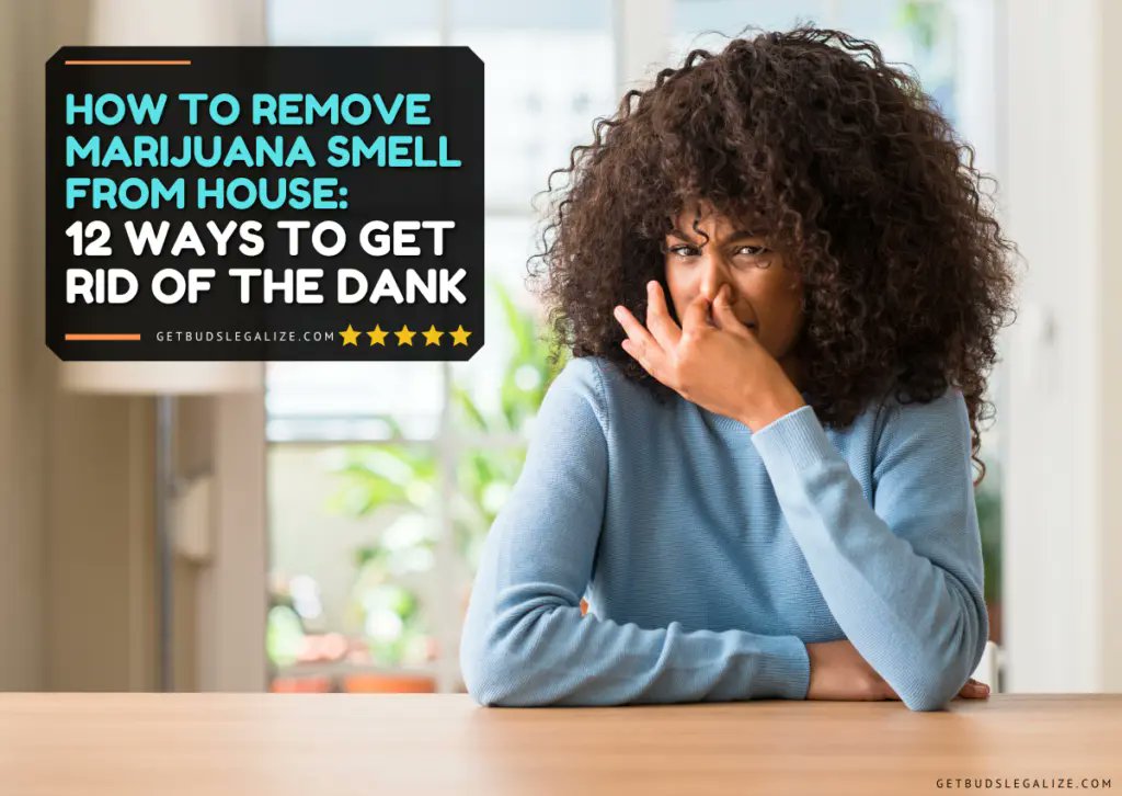 SacredSoundX's tweet photo. How to Remove Marijuana Smell from House: 12 Ways to Get Rid of It https://t.co/z7XSY5NrEK 
#RemoveMarijuanaSmell #OdorRemoval #CannabisOdor #HomeCleaningTips #FreshHome #OdorElimination #CannabisLife #HomeHacks #SmellRemoval #CleanLiving #FreshAir #CannabisTips #HomeTips https://t.co/wDsAGA9kOR