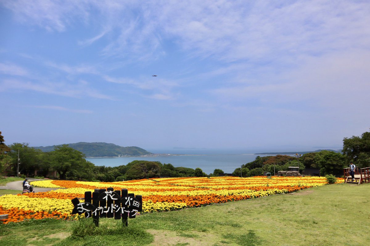 yyamamoto46's tweet photo. 💐のこのしまアイランドパーク💐
海をバックに５万株のマリーゴールドが咲き誇っていました☀️

#九州
#福岡
#能古島
#のこのしまアイランドパーク
#博多湾
#お花畑
#マリーゴールド https://t.co/59hWRw8a55