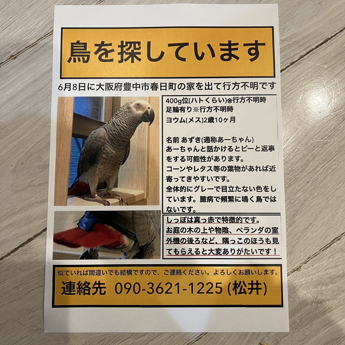 ojimarusedori's tweet photo. #迷い鳥
#目撃情報
#迷子インコ
#ヨウム
#グレーの鳥
#灰色の鳥
#ヨウム迷子
#大阪府
#豊中市
#探しています
#インコ探しています
#ヨウム探しています
#拡散RT 

青い丸は可能性がありそうな所です。
赤い丸はチラシ済み

拡散お願い致します！！
ご友人や職場等にも拡散お願い致します。 https://t.co/OWZCCEAy33