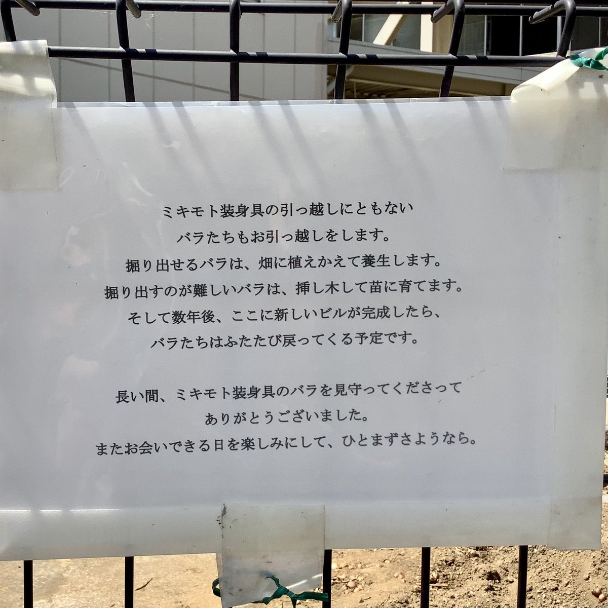 hakuo416's tweet photo. 真珠のミキモトって製造セクションが中目黒にあって、実に見事なバラの垣根が名物だったんだけど、久しぶりに近くを通ったら全撤去されててショックだった。が、よく見れば素敵すぎる置き手紙が柵に貼られてて泣いた……。素敵すぎるぜミキモト！ https://t.co/TPKtUdThA8