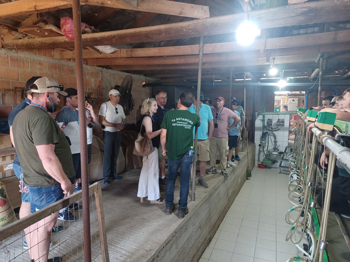 Visite de l'après-midi en Grèce : installation de #traite pour 400 brebis laitieres <a href="/idele/">idele omorodion</a> #cofit