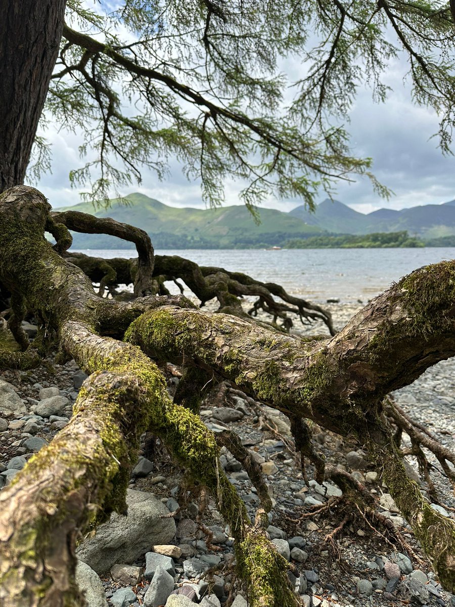 Dave Quirk tweet media