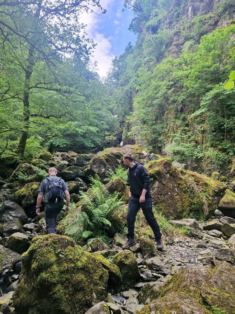 Dave Quirk tweet media