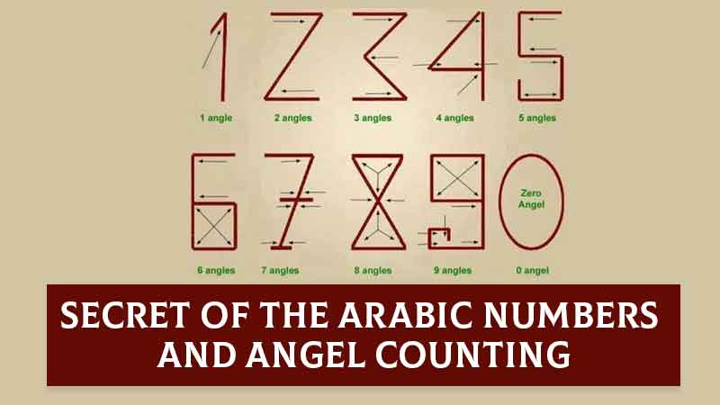 vedicmathschool's tweet photo. Hey everyone! Ever wondered why numbers like 1, 2, 3, 4 are written as 1, 2, 3, 4? Discover the fascinating story behind Arabic Numbers and their supposed angel counting system.
'
#vedicmathschool #vedicmathematic https://t.co/e4hrduL4K9 https://t.co/FqgZjpYBi3