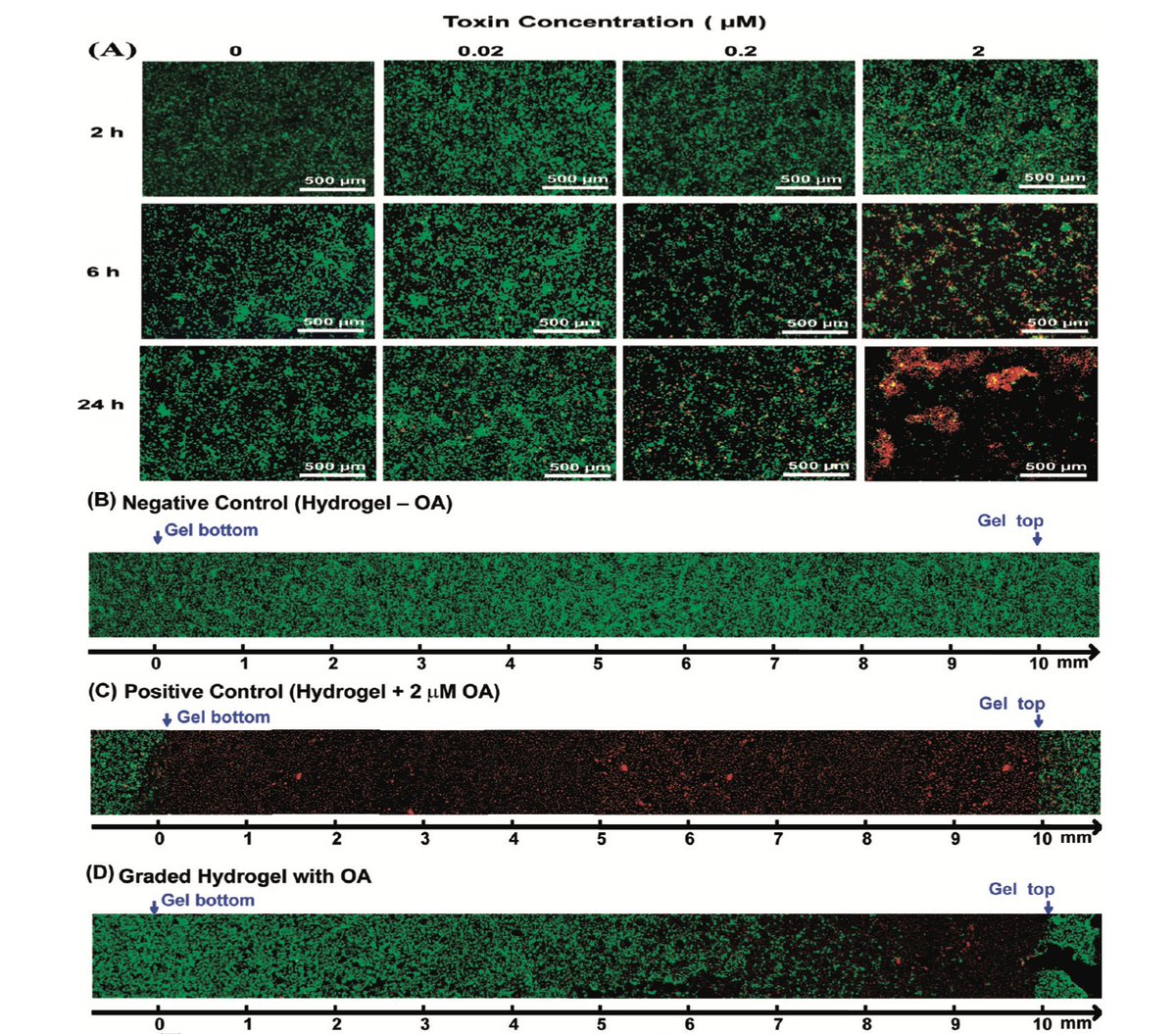 Elisabeth Bik tweet media