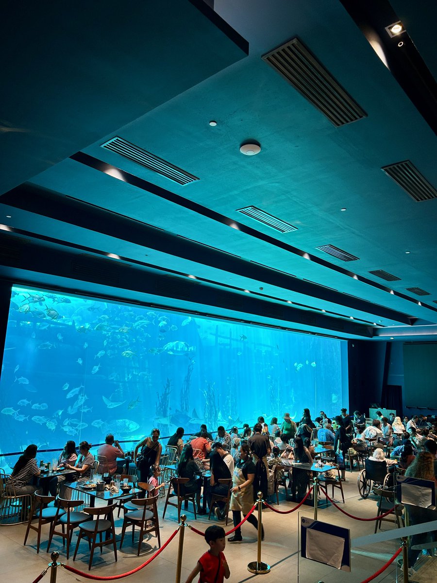 Lucas Marque™️ ♋️ tweet media